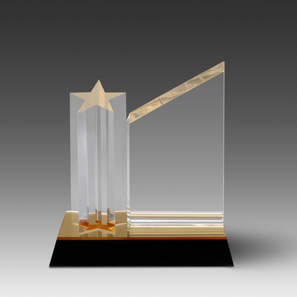 Star Achiever™ Award
