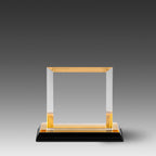 Billboard Impress Award™