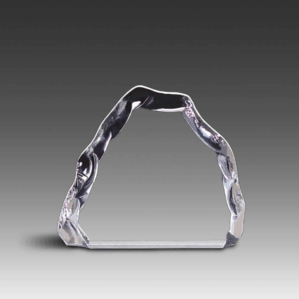 Iceberg Award™