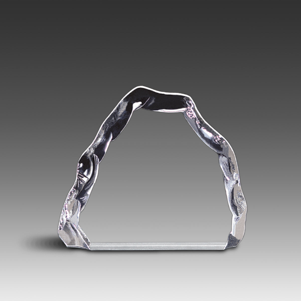 Iceberg Award™