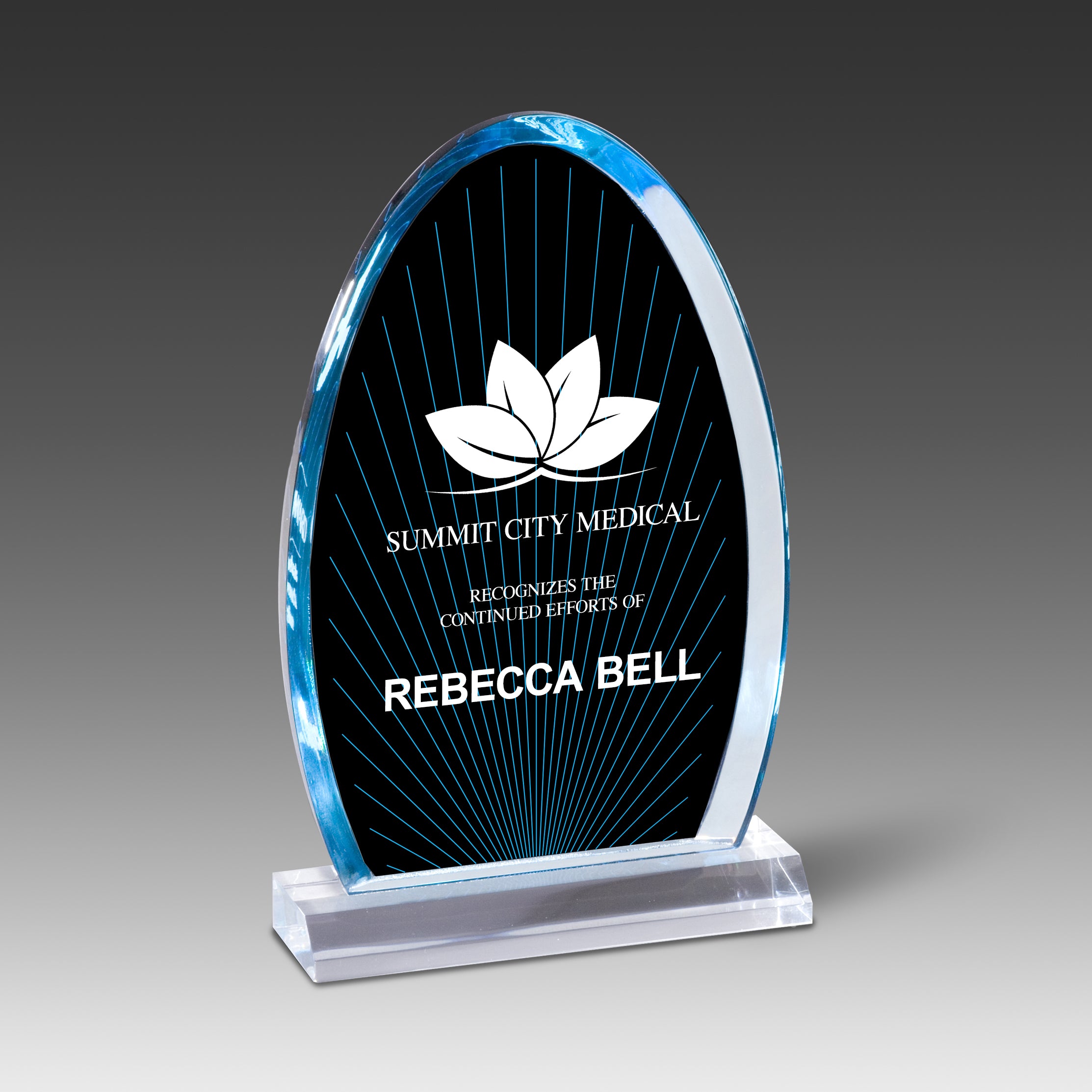 Blue Ray Arch Award™