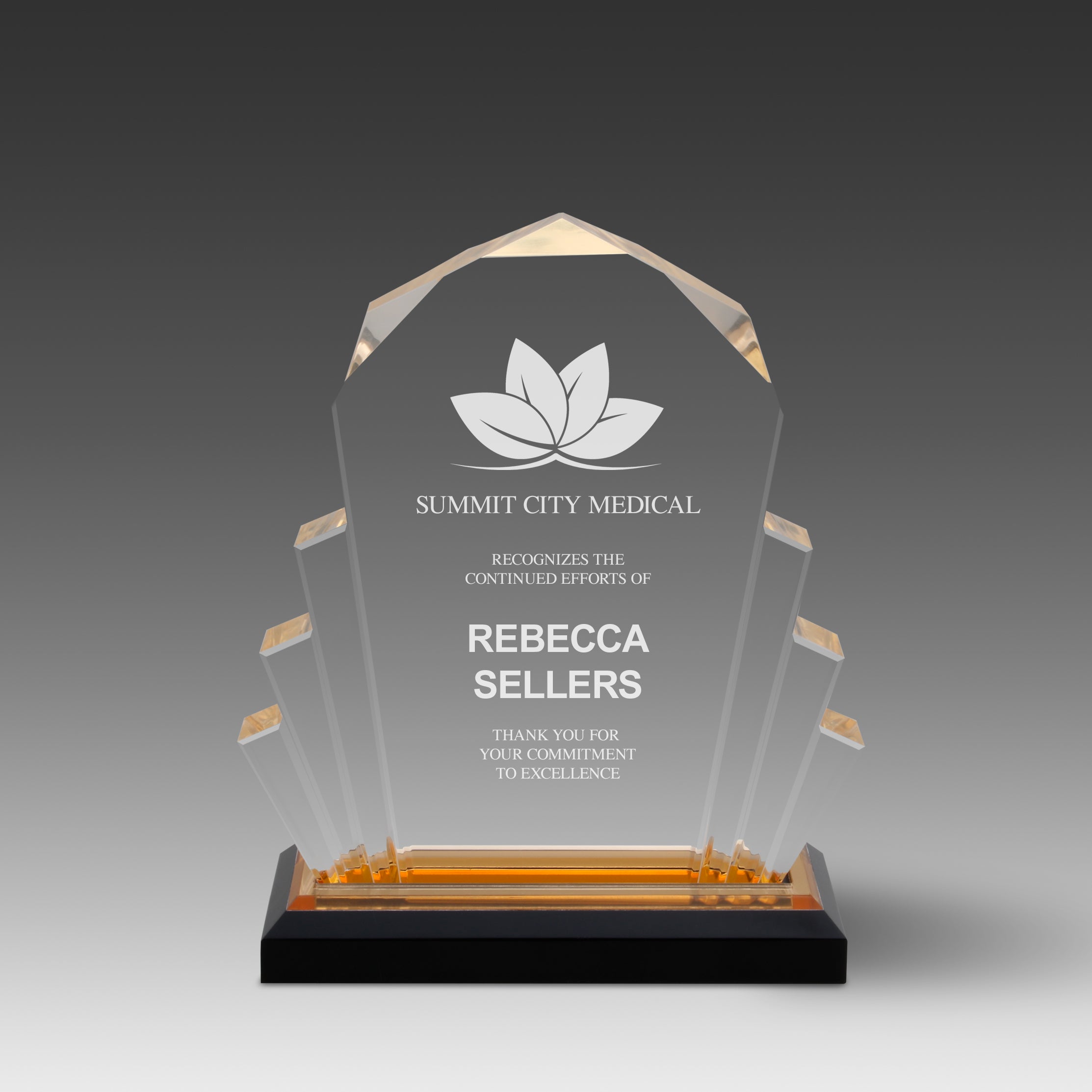 Faceted Impress Award™