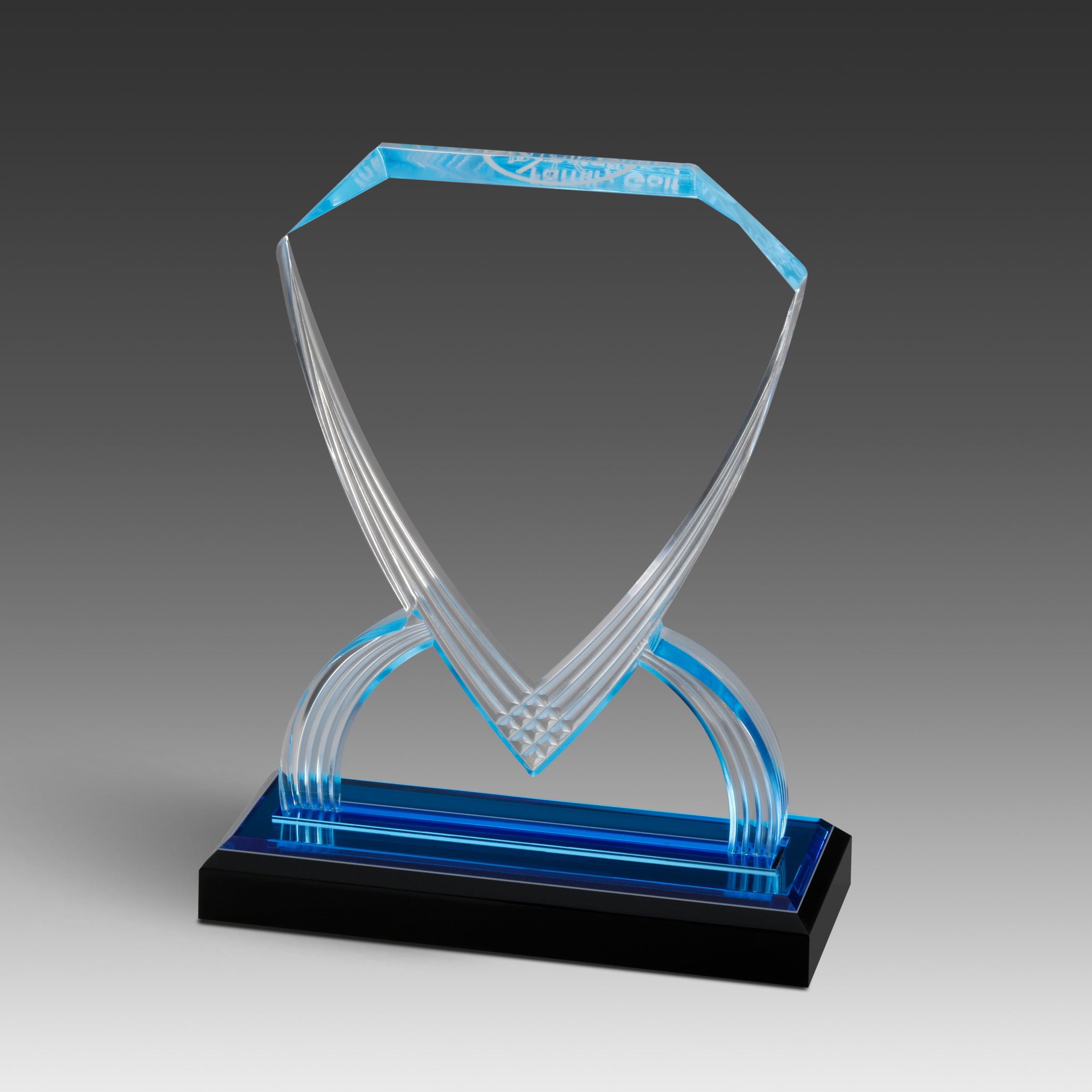 GEO Shield™ Award