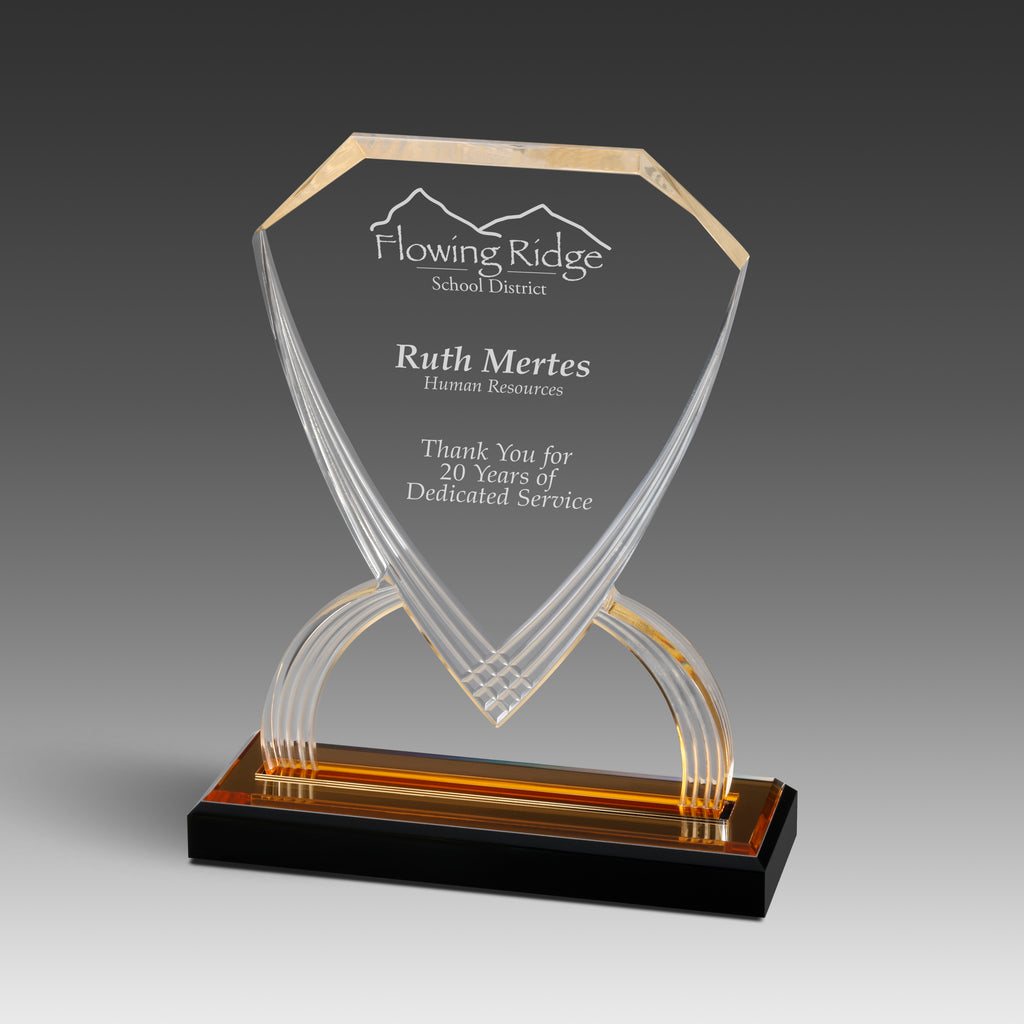 GEO Shield™ Award