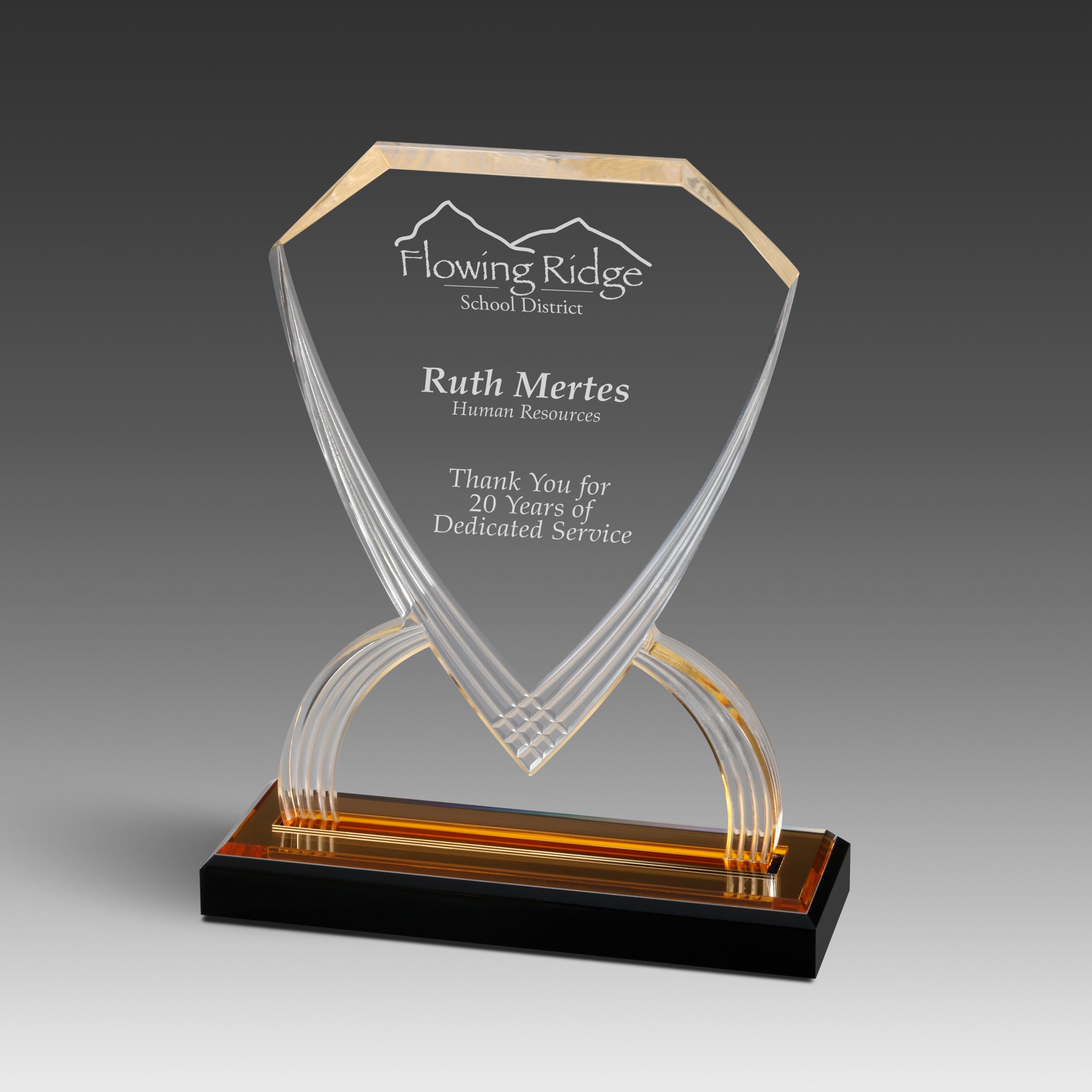 GEO Shield™ Award