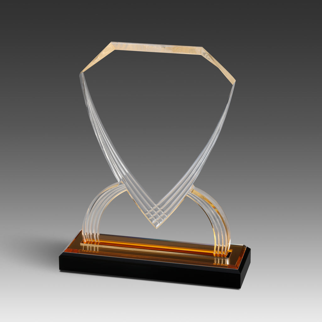GEO Shield™ Award
