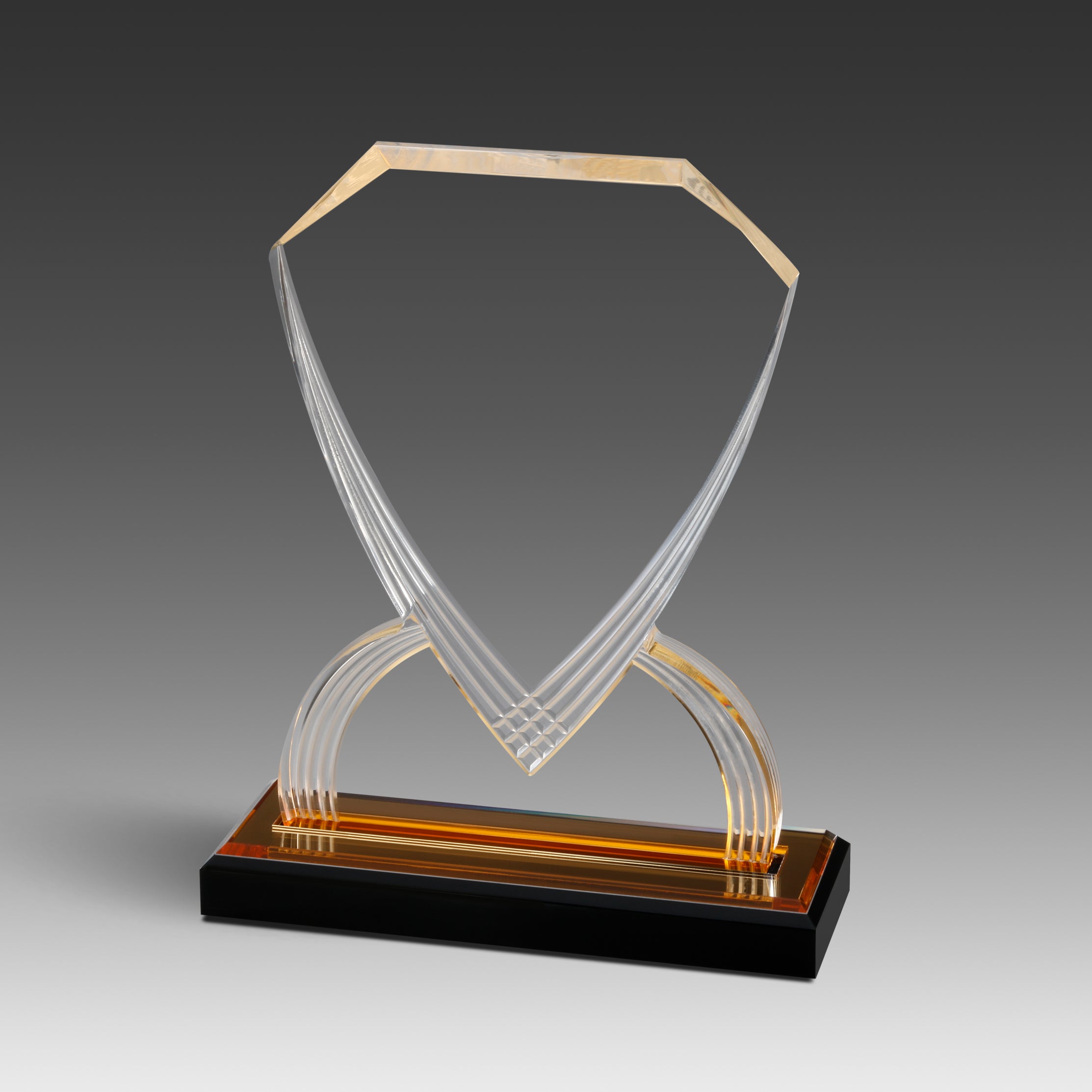 GEO Shield™ Award