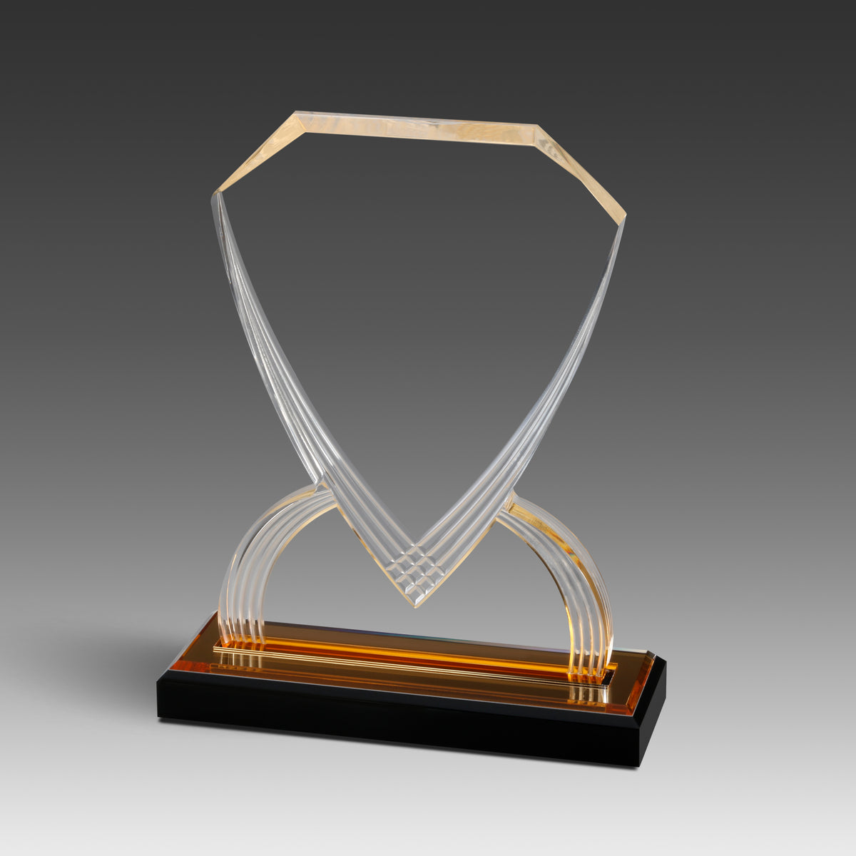 GEO Shield™ Award
