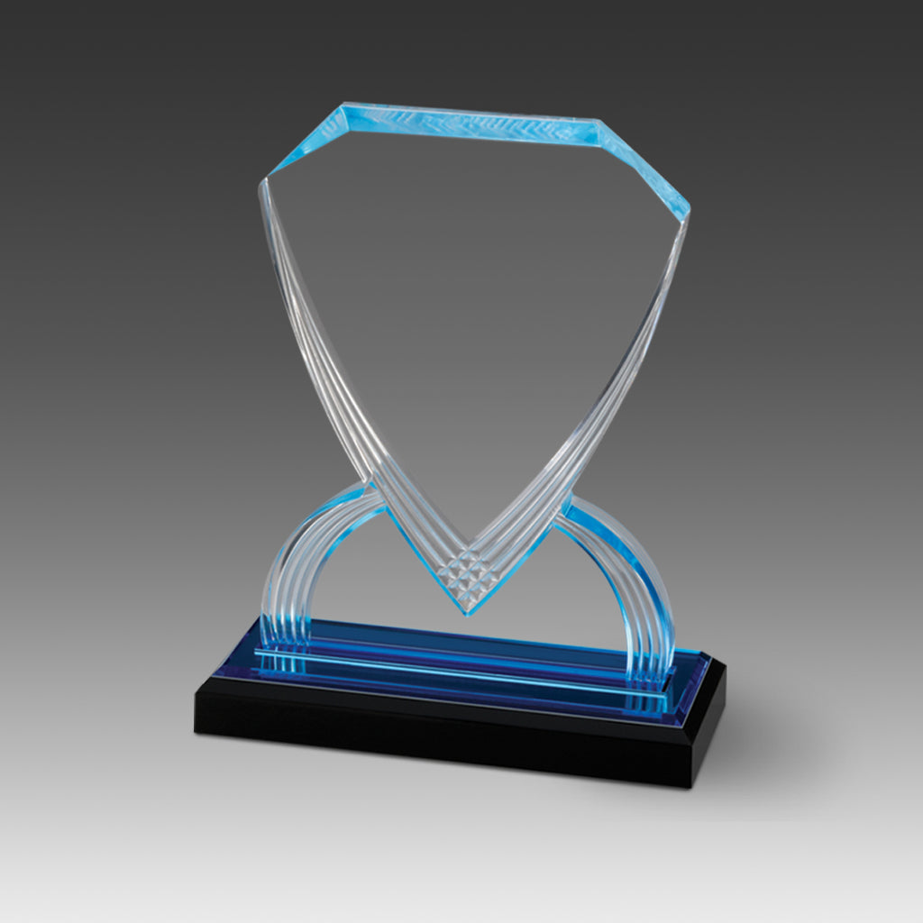 GEO Shield™ Award