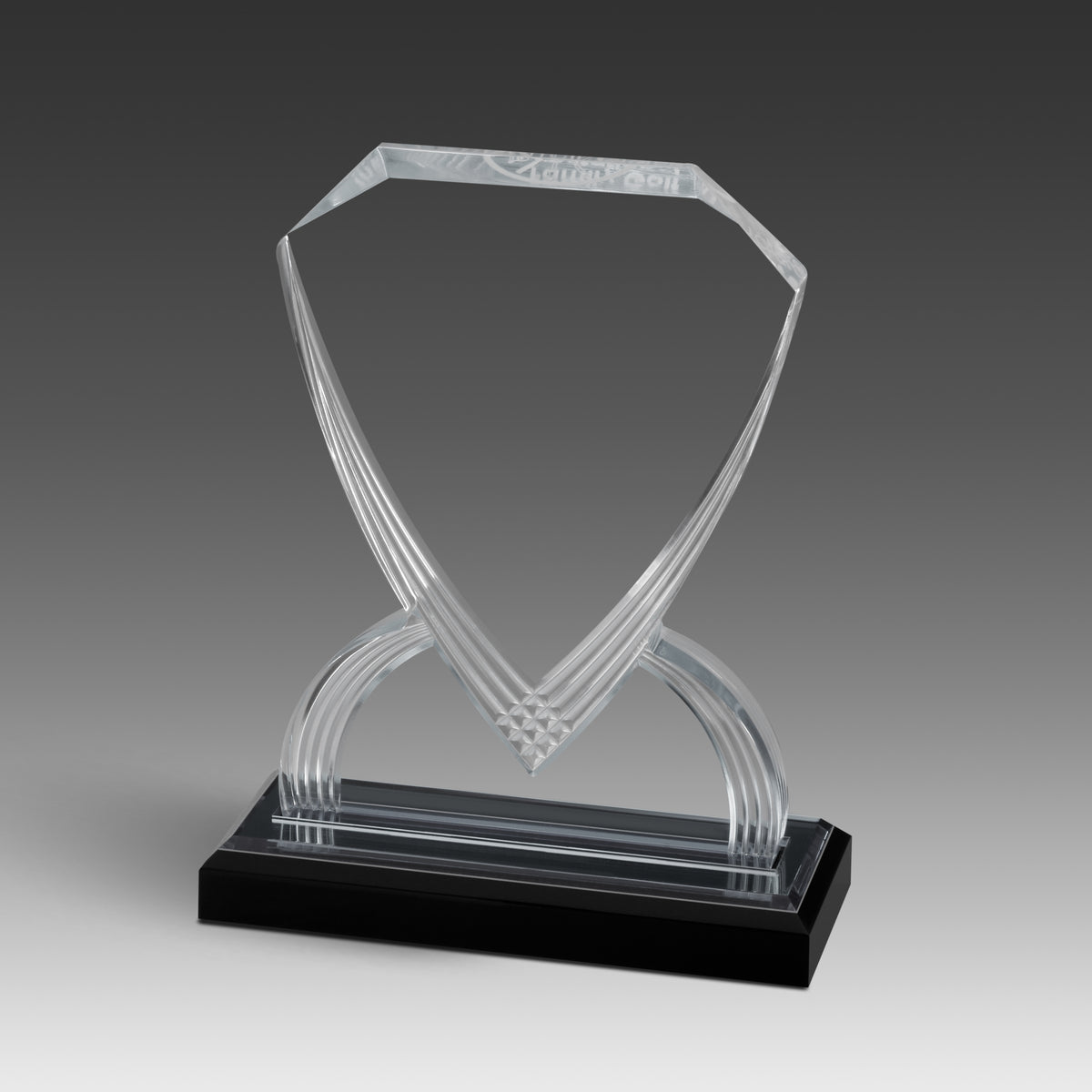 GEO Shield™ Award