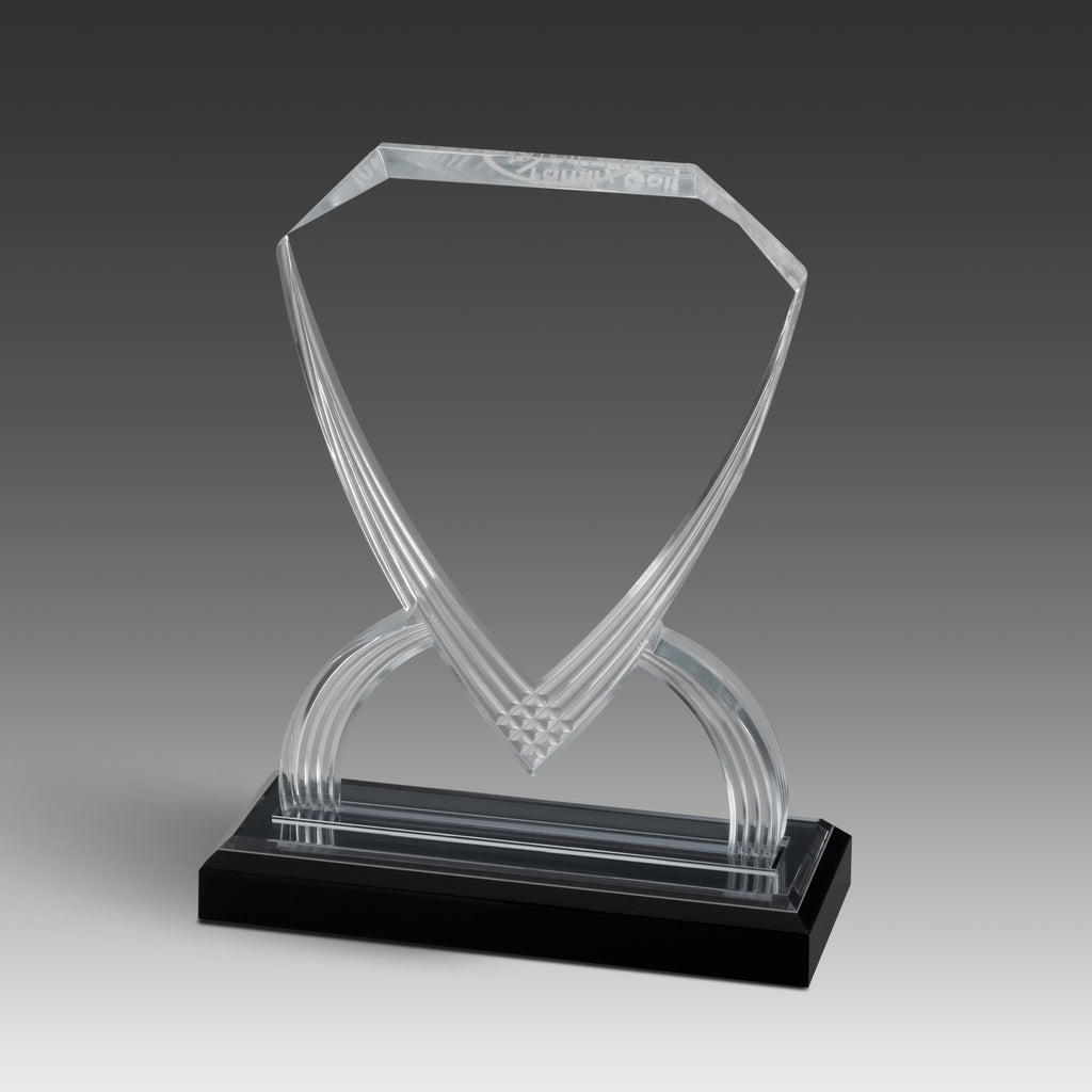 GEO Shield™ Award