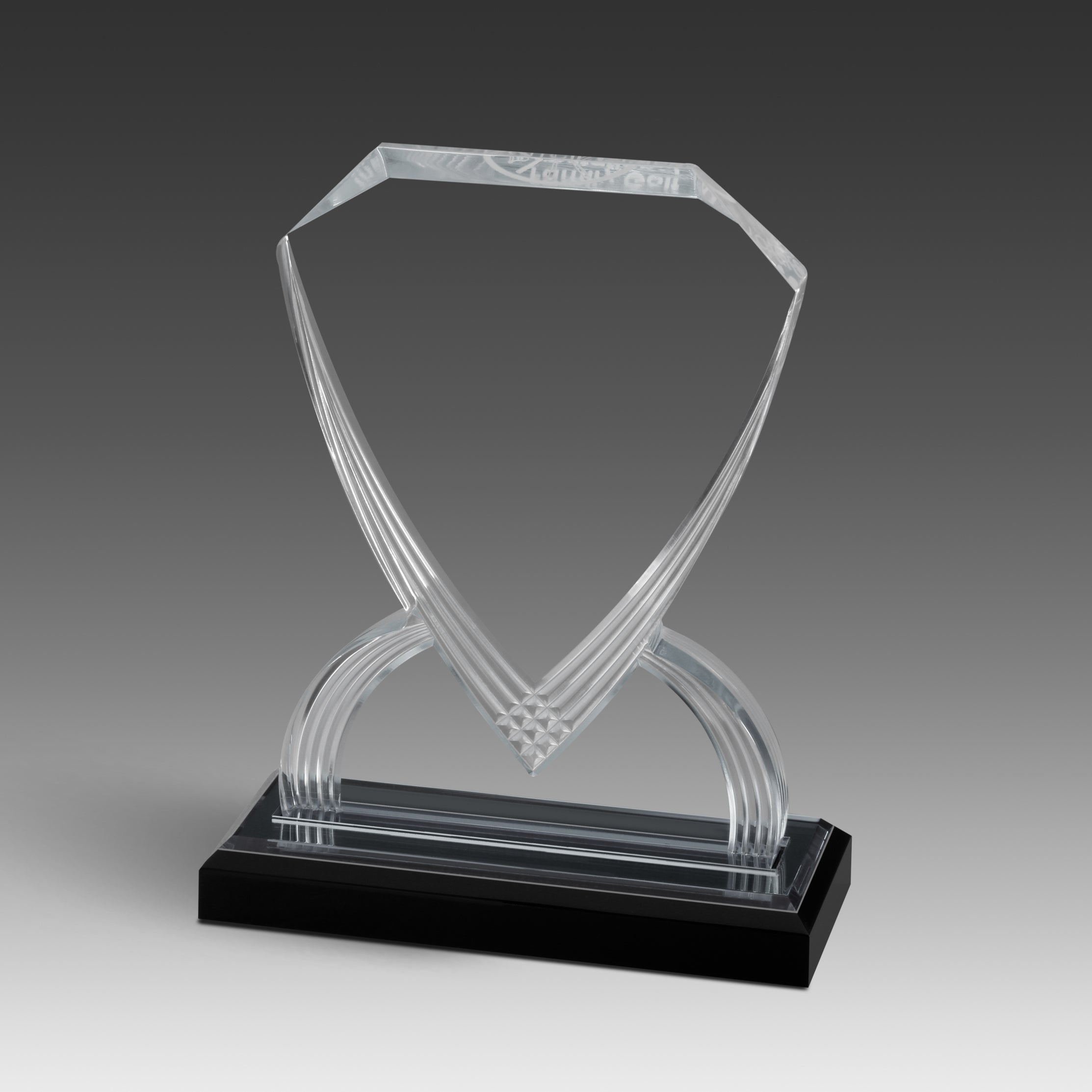 GEO Shield™ Award