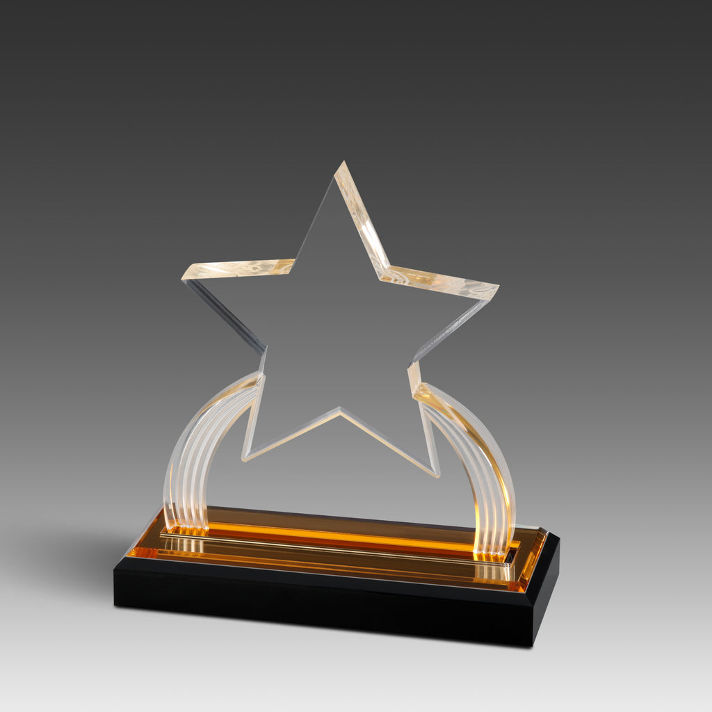 GEO Star™ Award