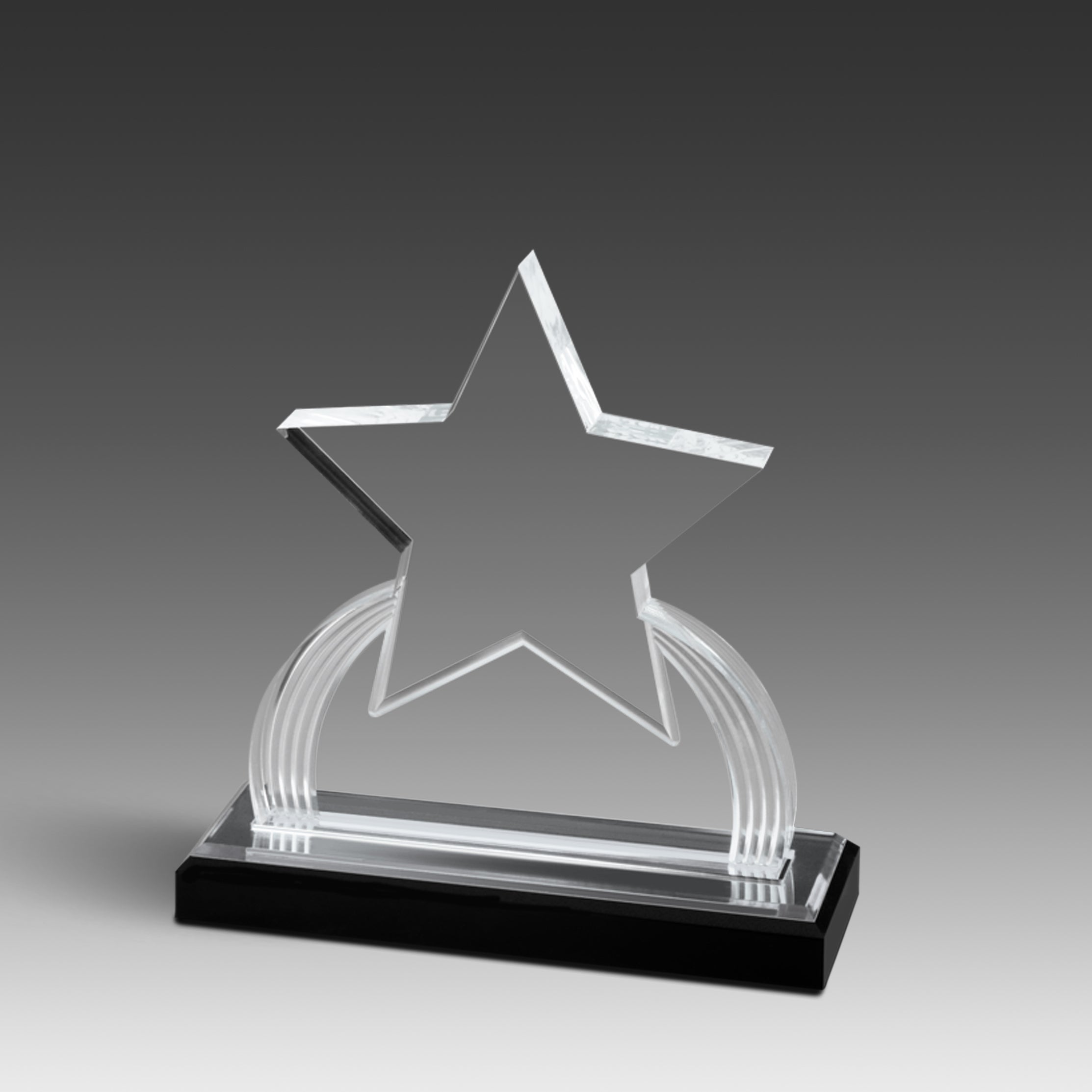 GEO Star™ Award