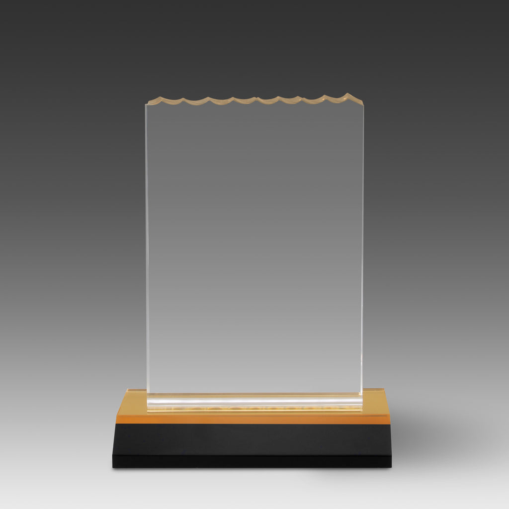 Ice Top Award