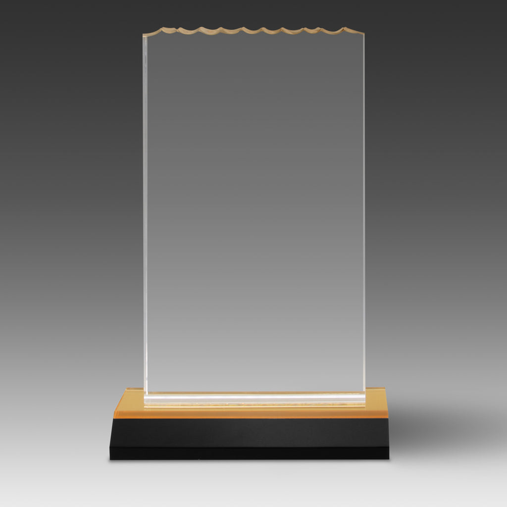 Ice Top Award