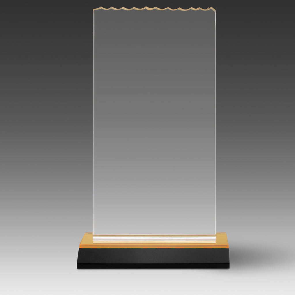 Ice Top Award