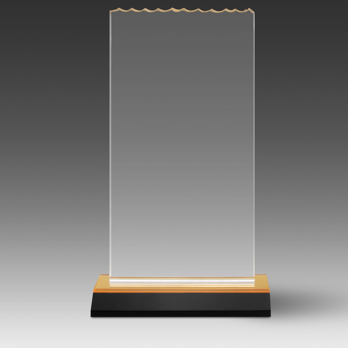 Ice Top Award
