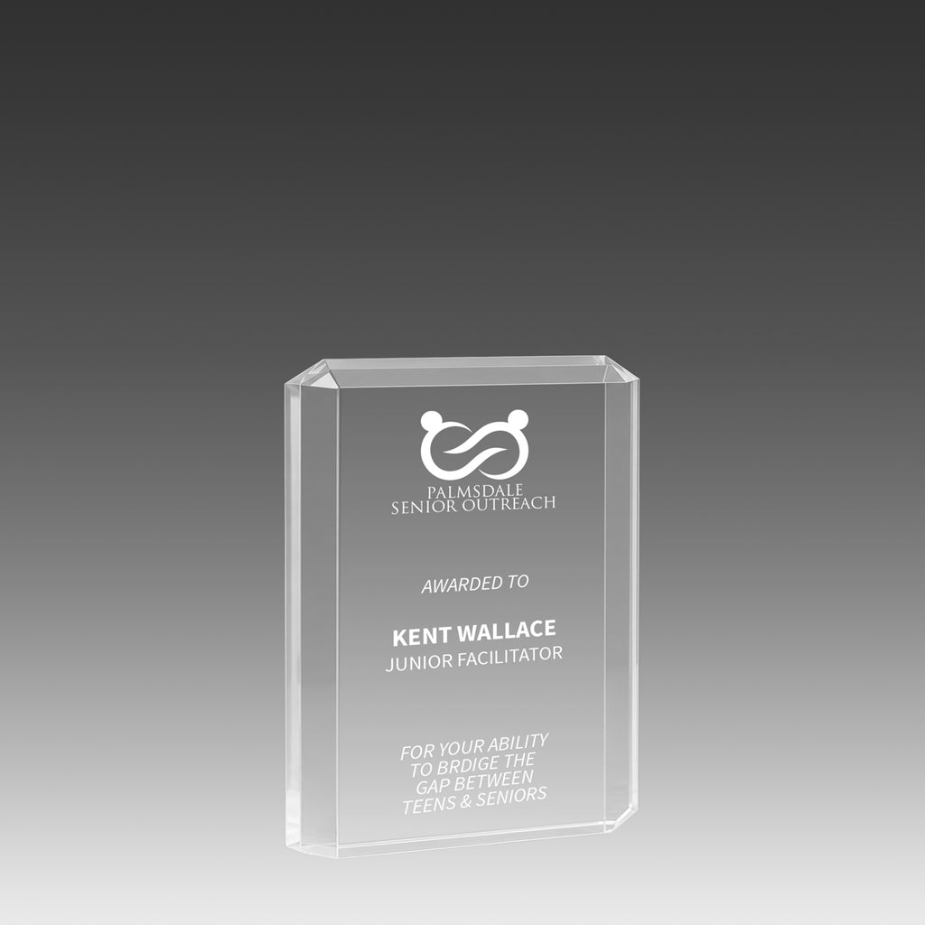 Lexus™ Award