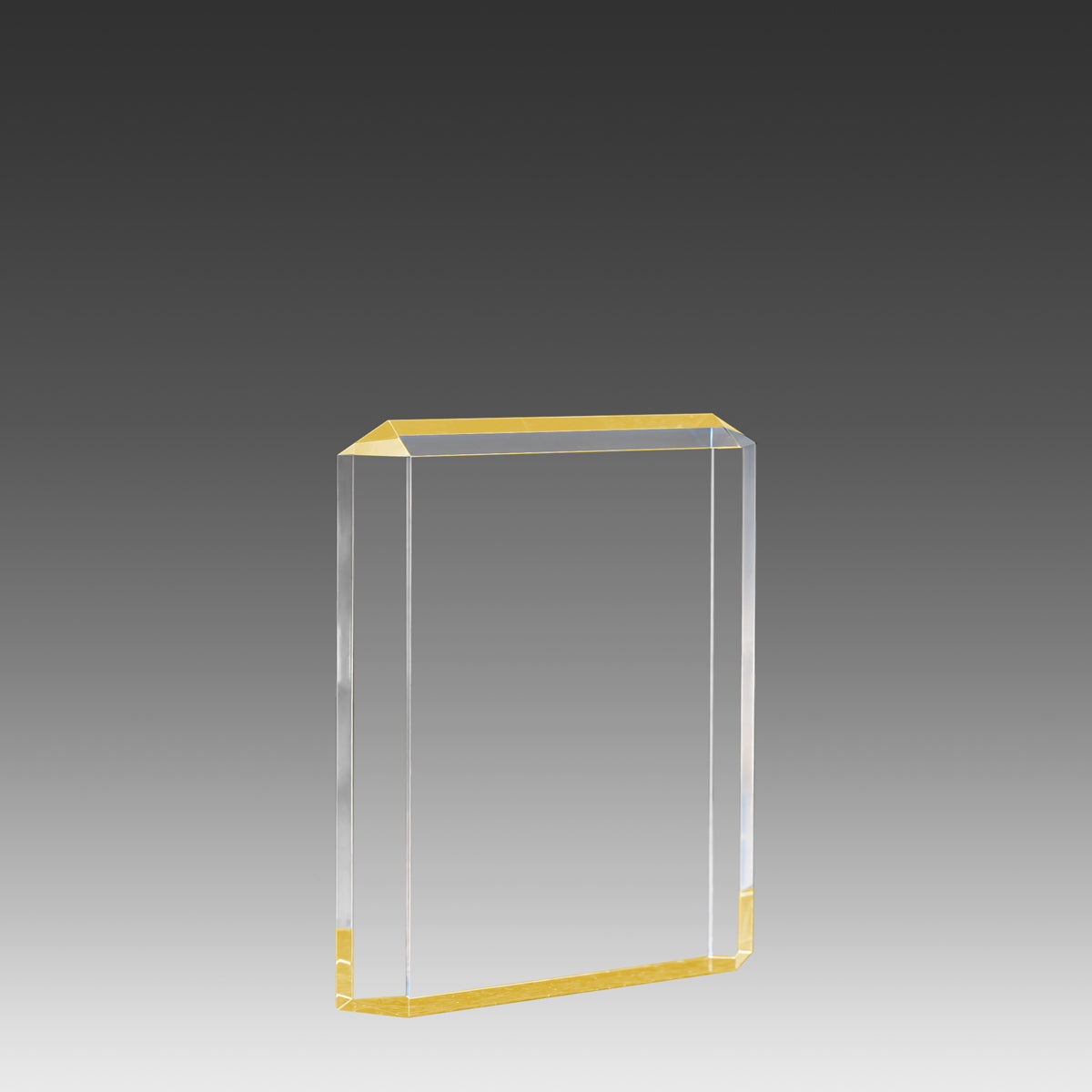 Lexus™ Award