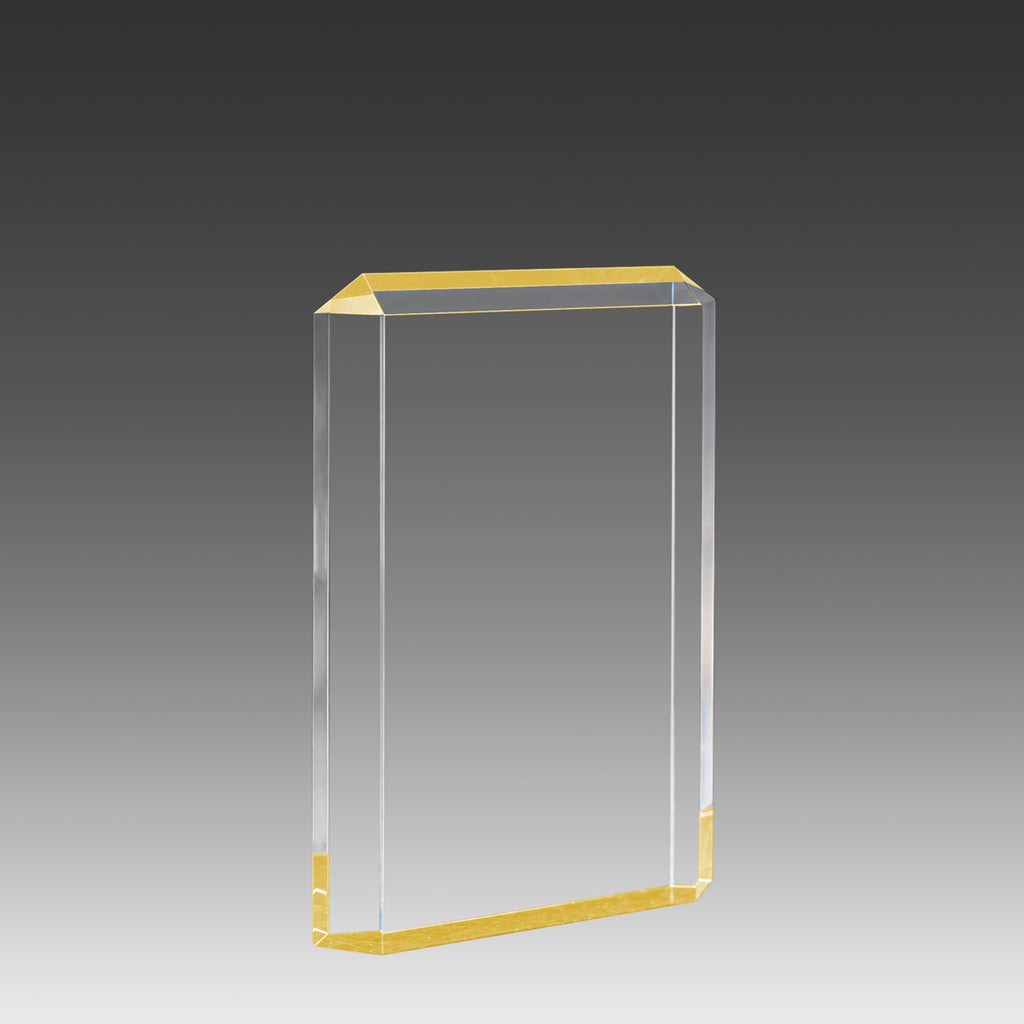 Lexus™ Award