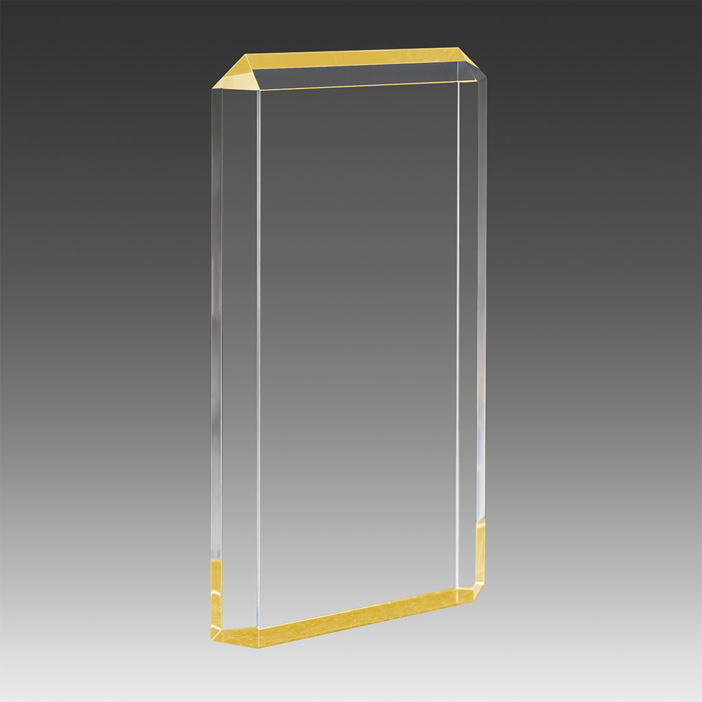 Lexus™ Award