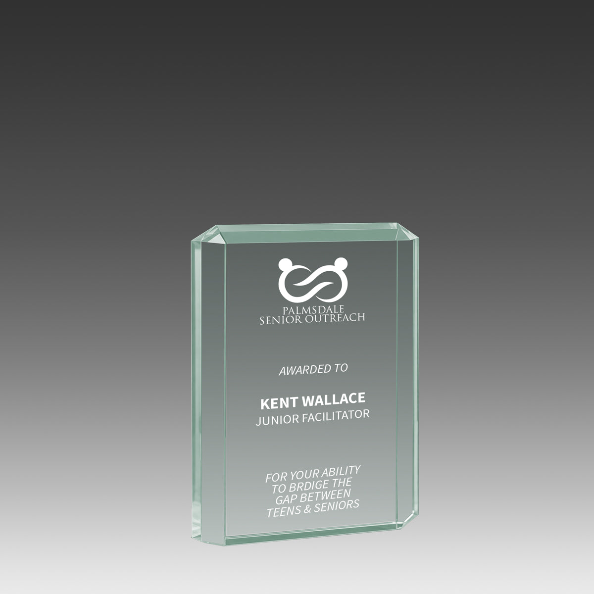 Lexus™ Award