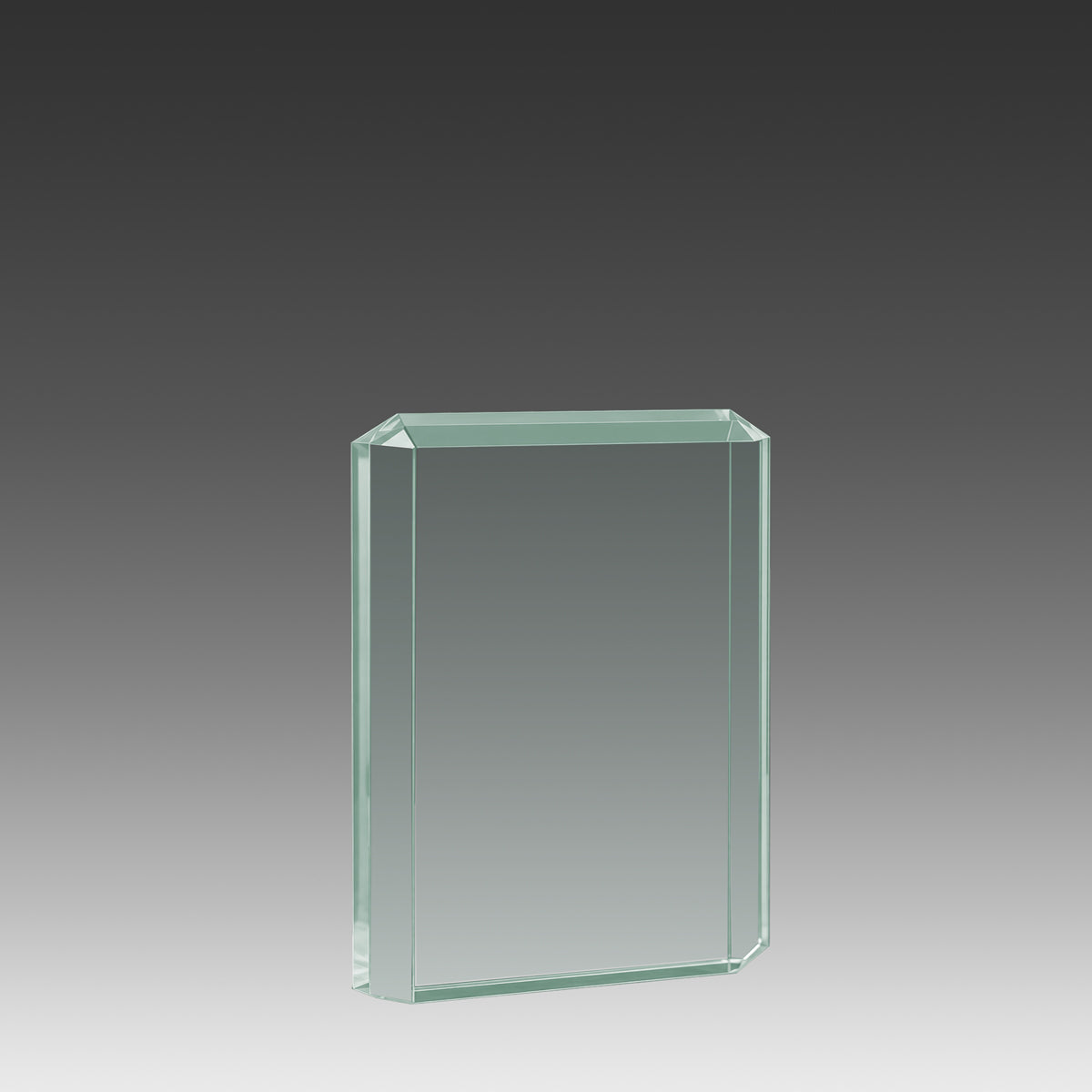 Lexus™ Award