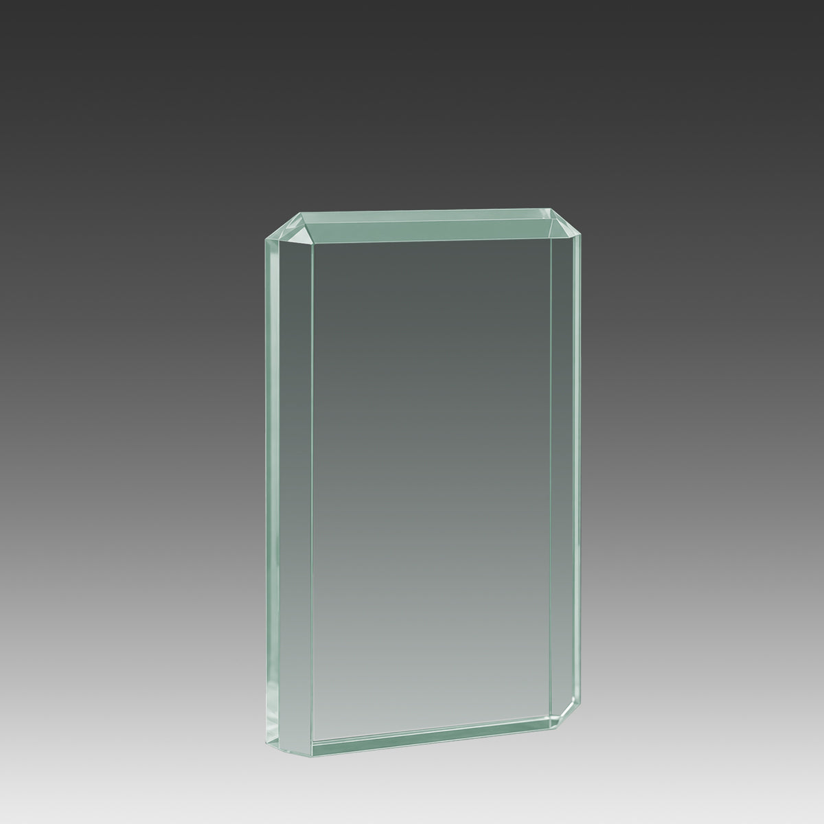 Lexus™ Award