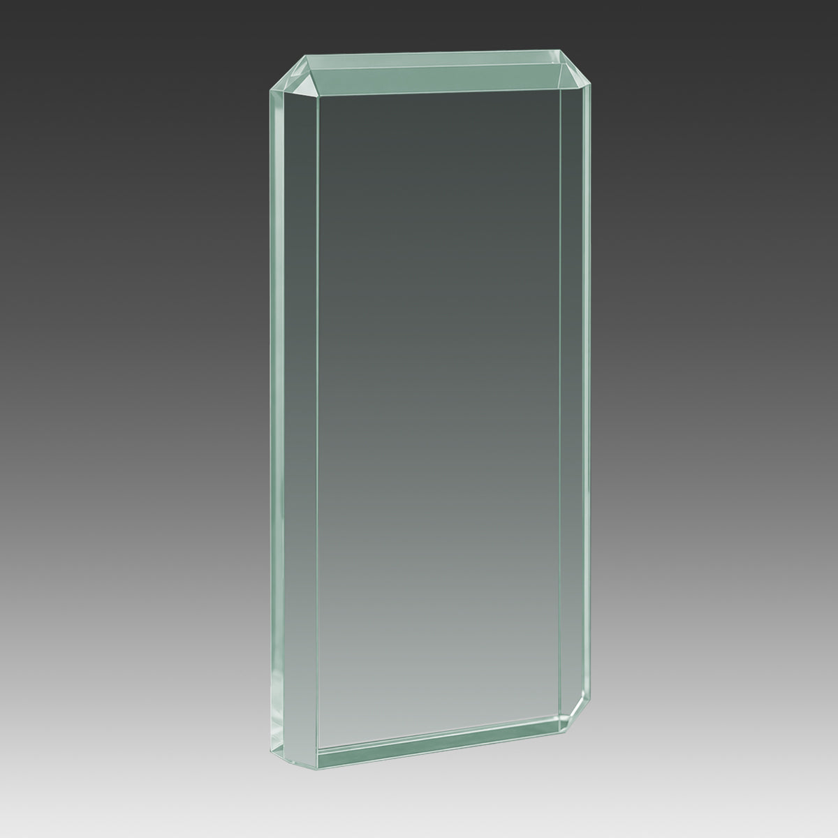 Lexus™ Award