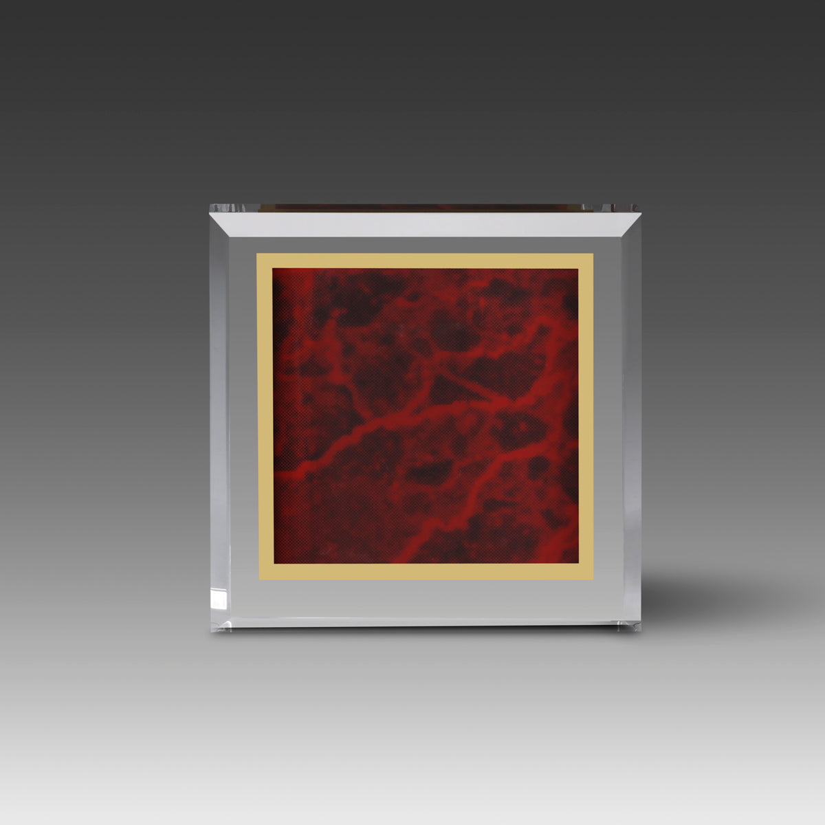 Marble Image™ Paperweight