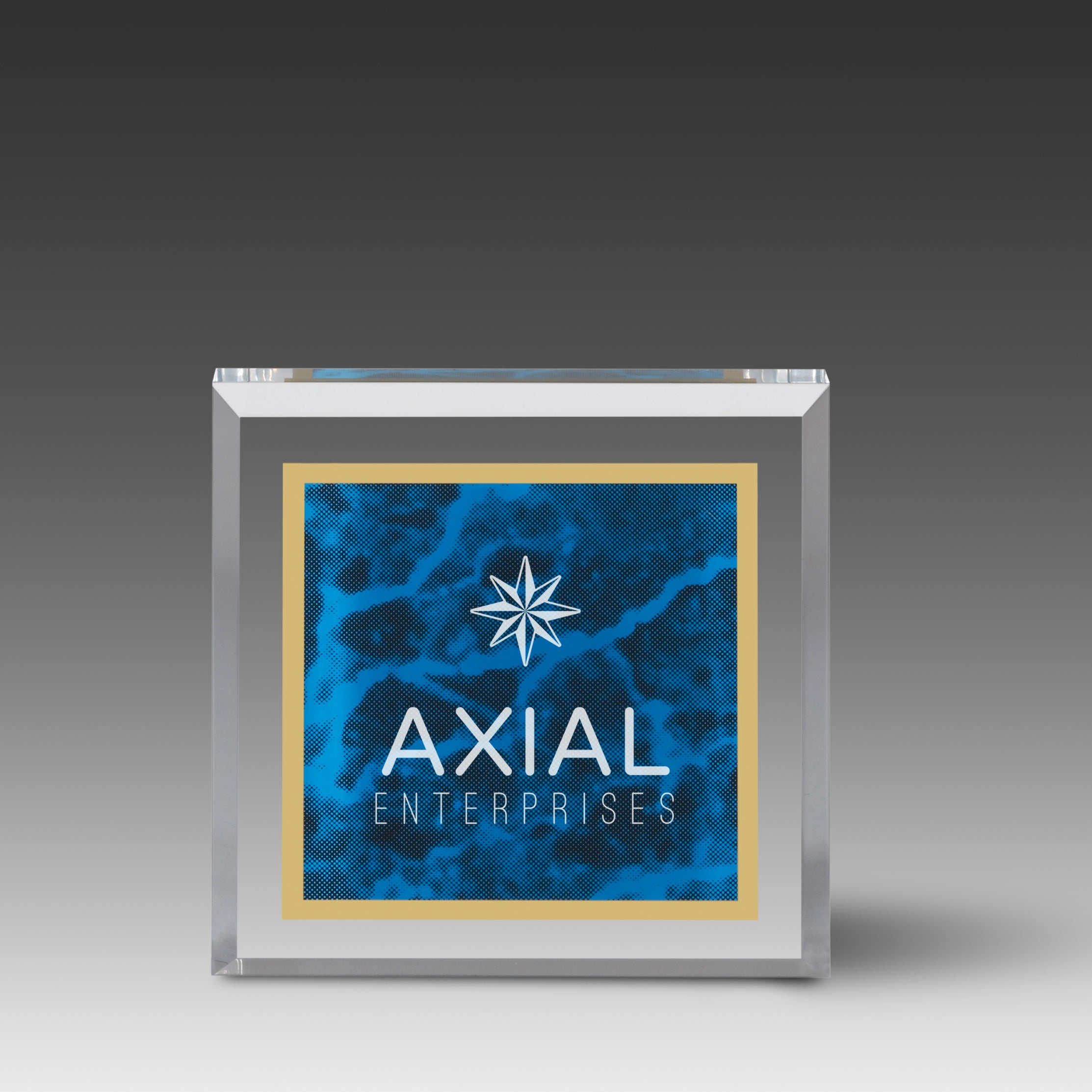Marble Image™ Paperweight