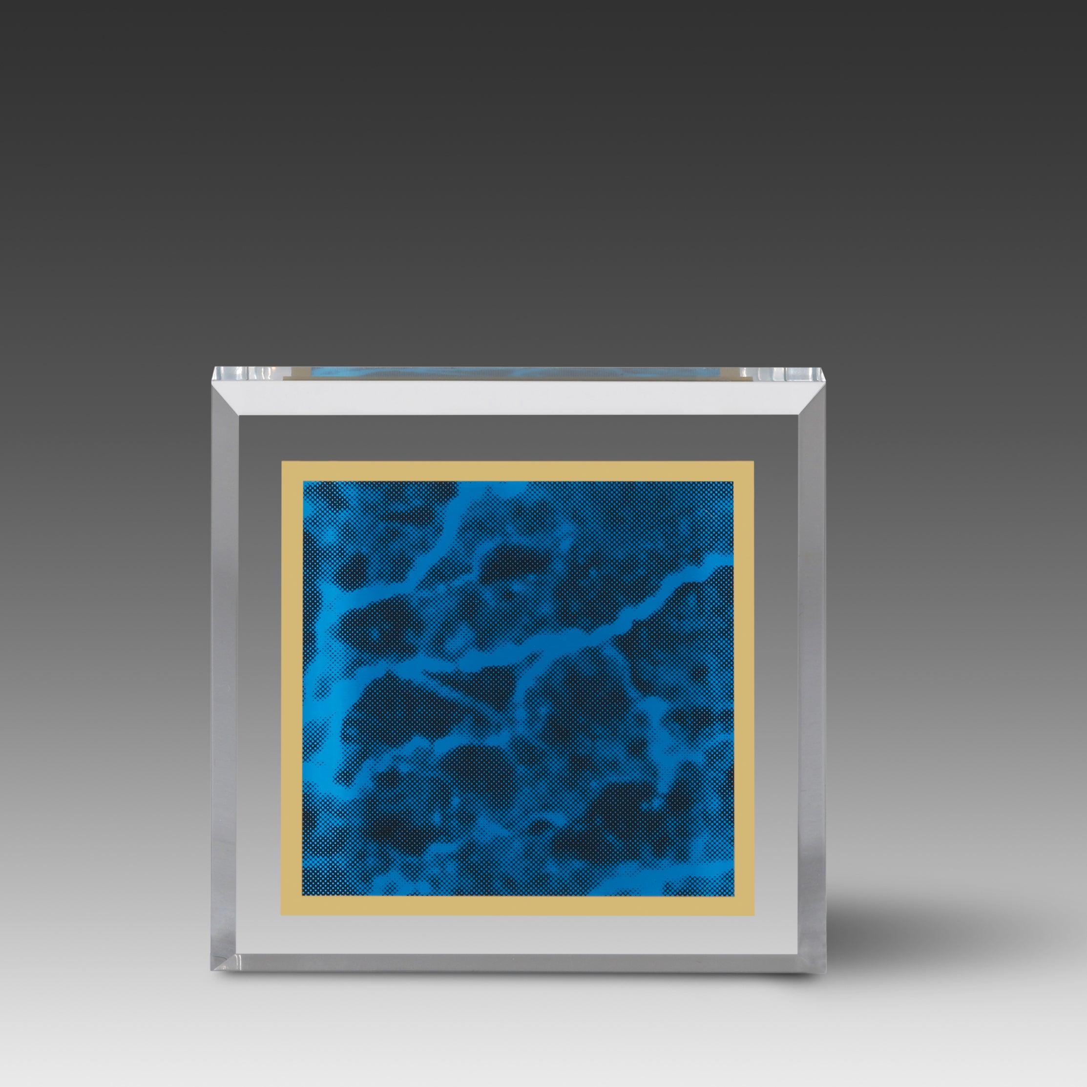 Marble Image™ Paperweight