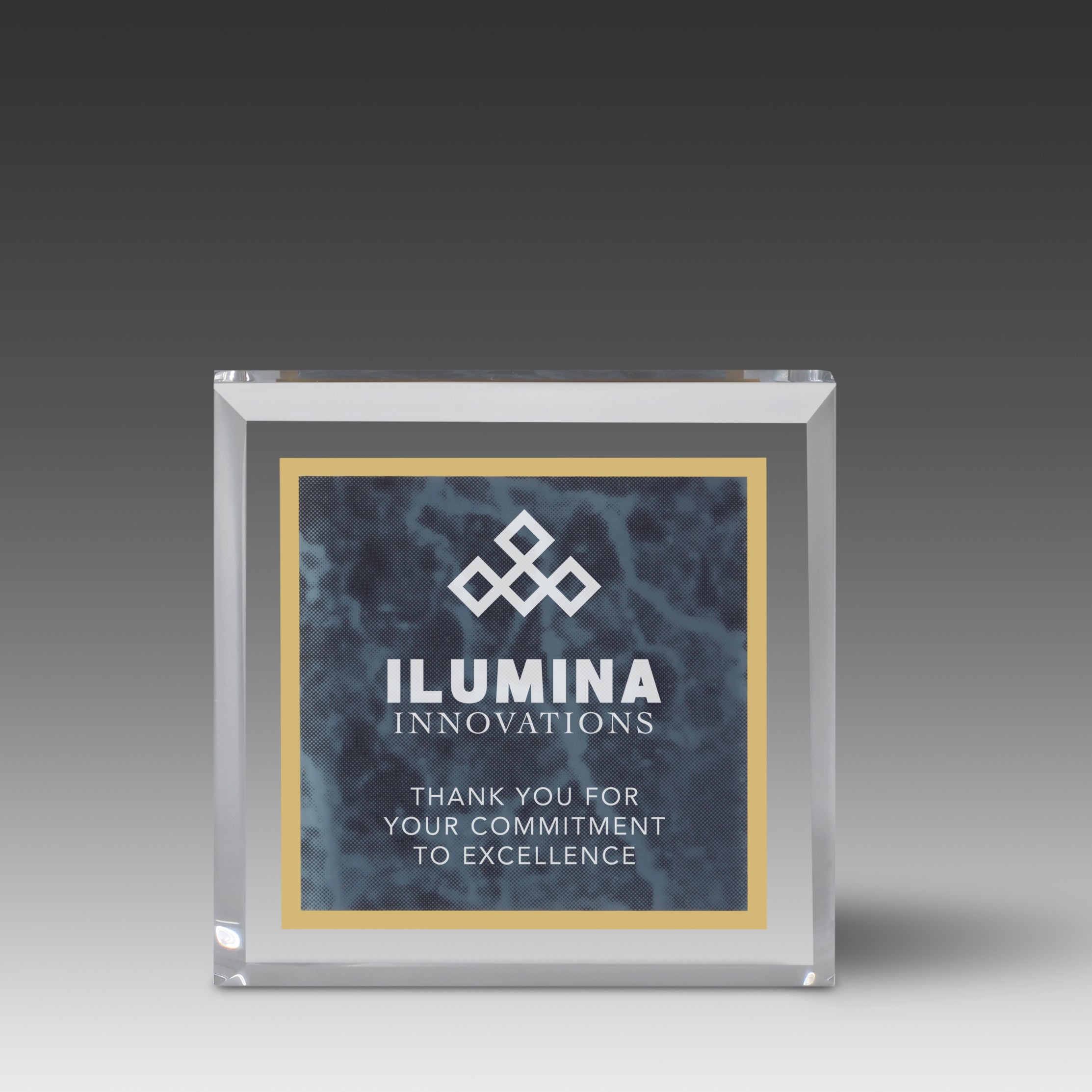 Marble Image™ Paperweight