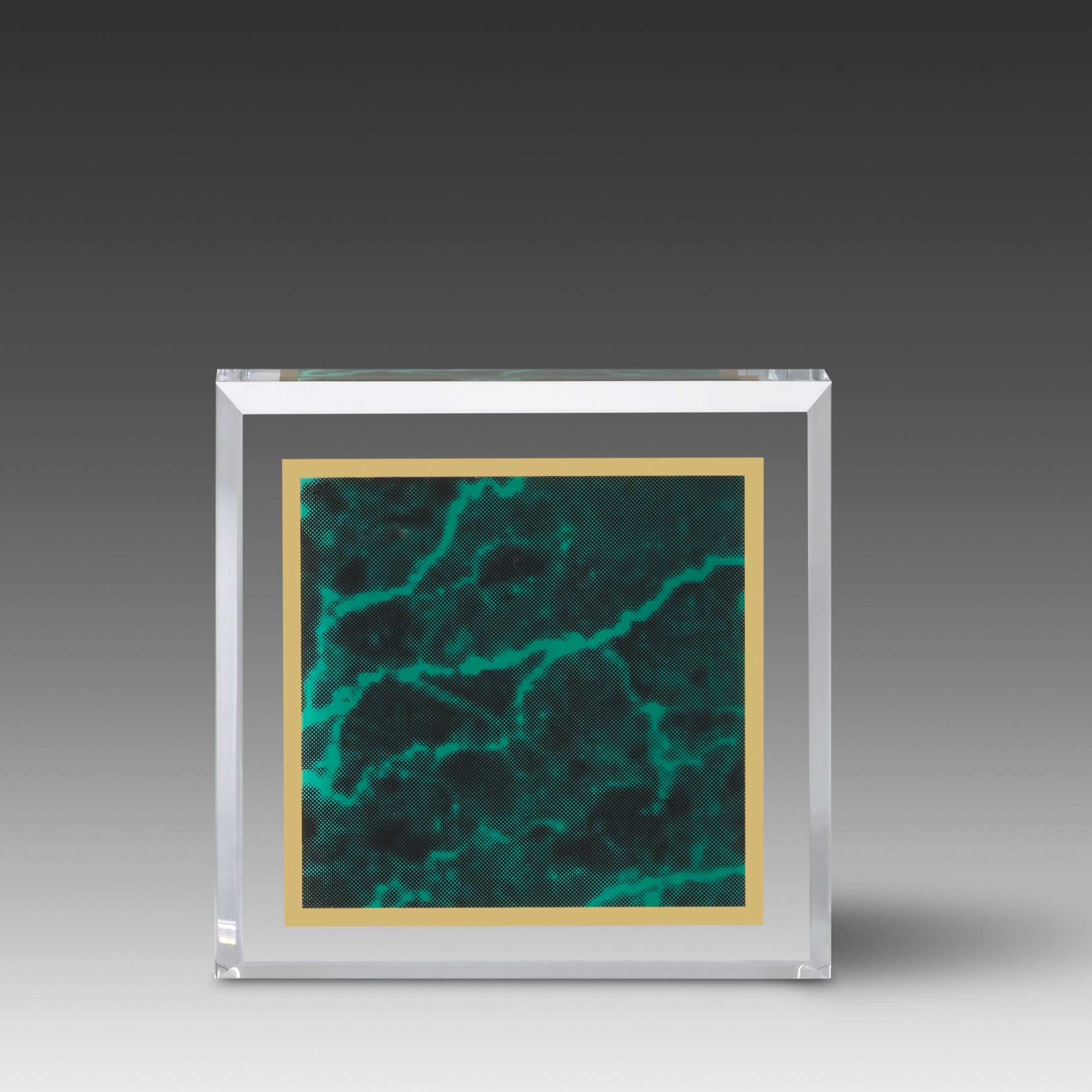Marble Image™ Paperweight