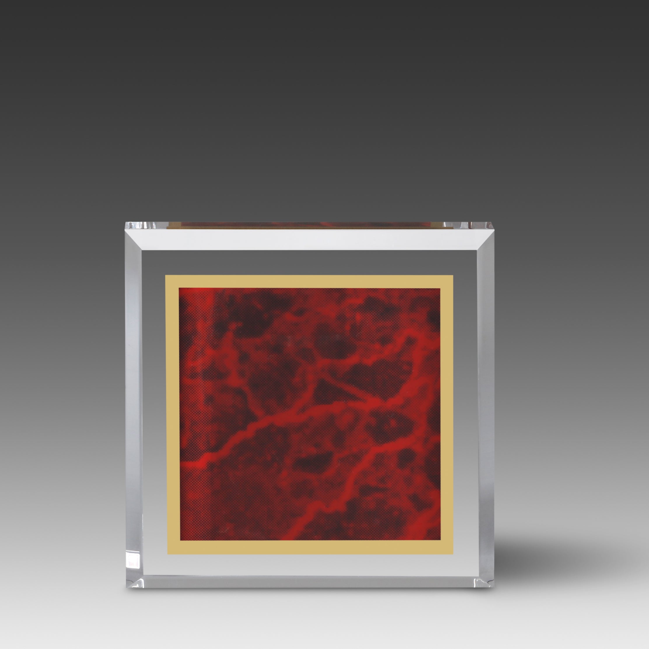 Marble Image™ Paperweight