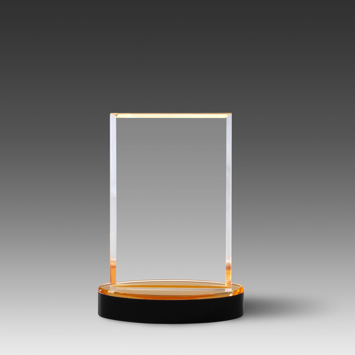 Vista™ Award