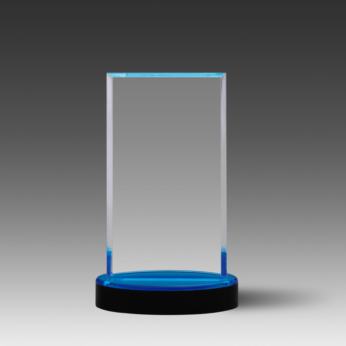 Vista™ Award