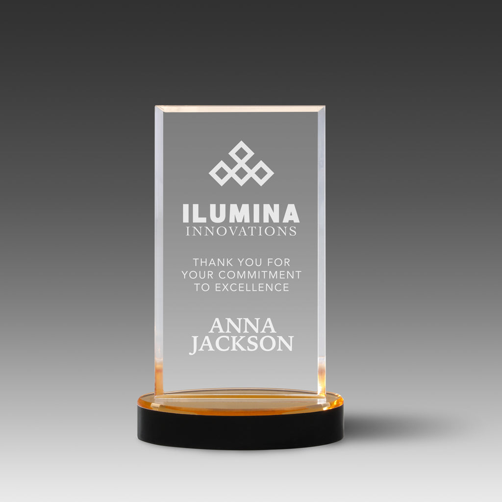 Vista™ Award