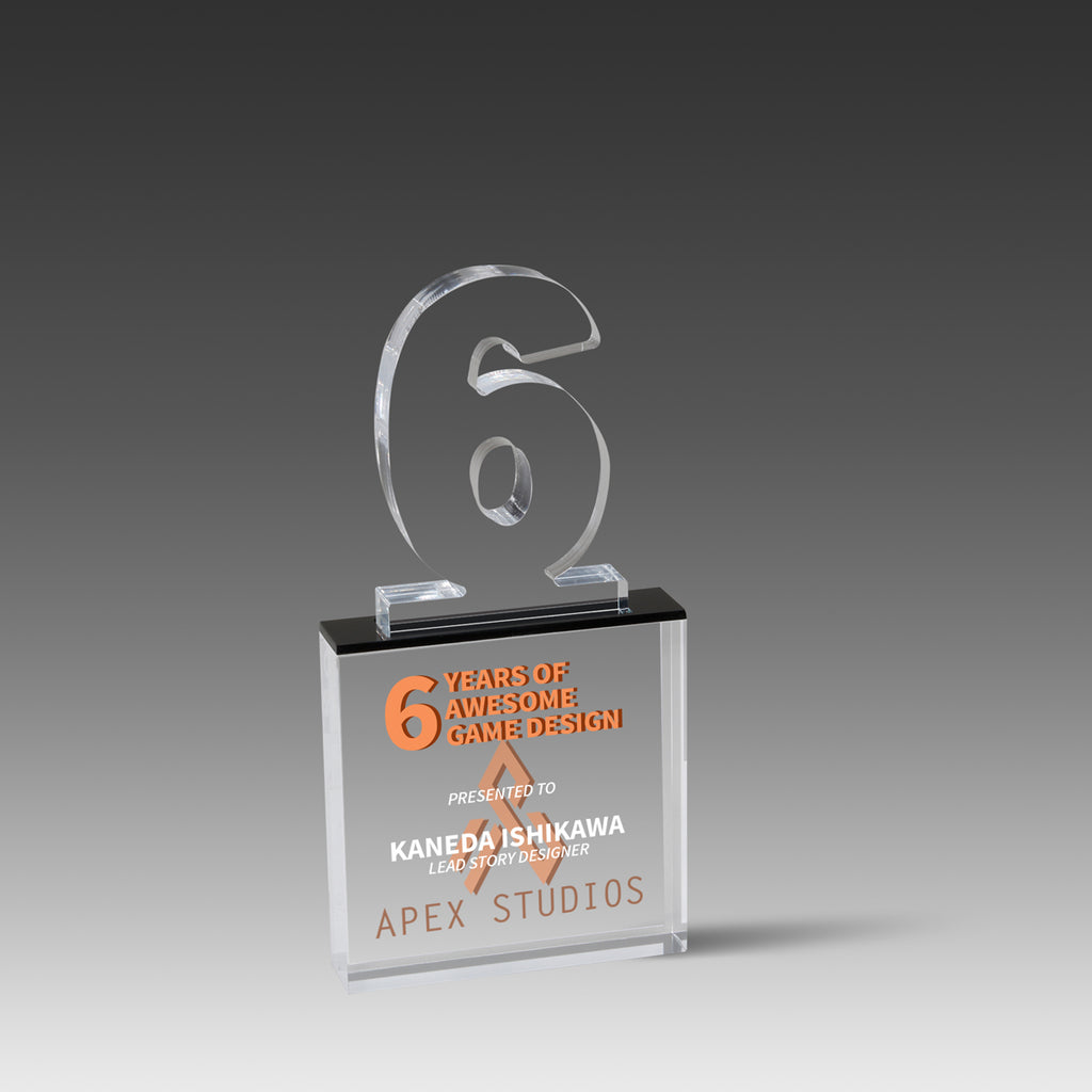 Recognition Number 6