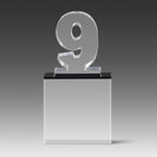 Recognition Number 9