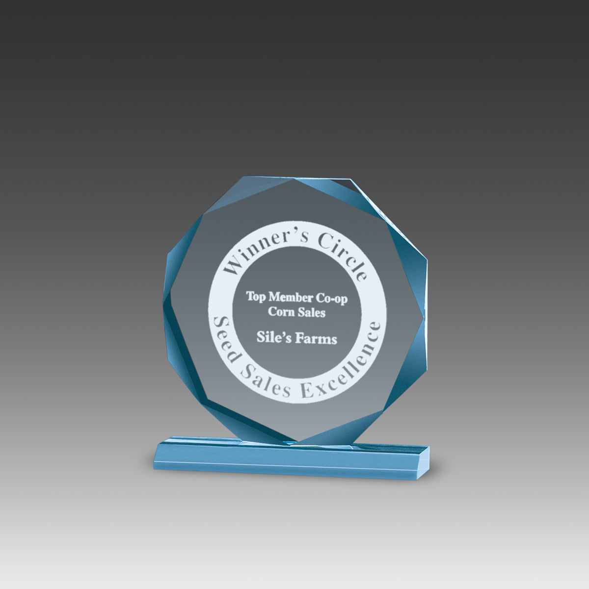 Beveled Octagon Award™