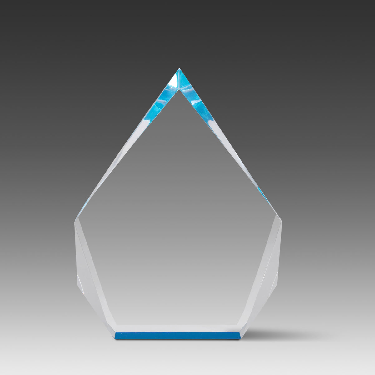 PrismEdge™ Award