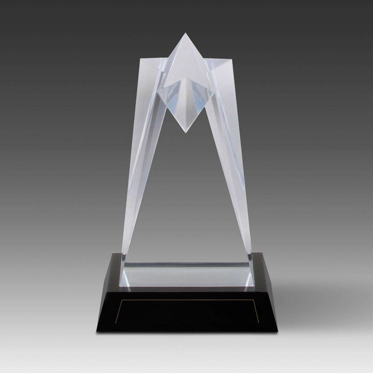Star Tower™ Award