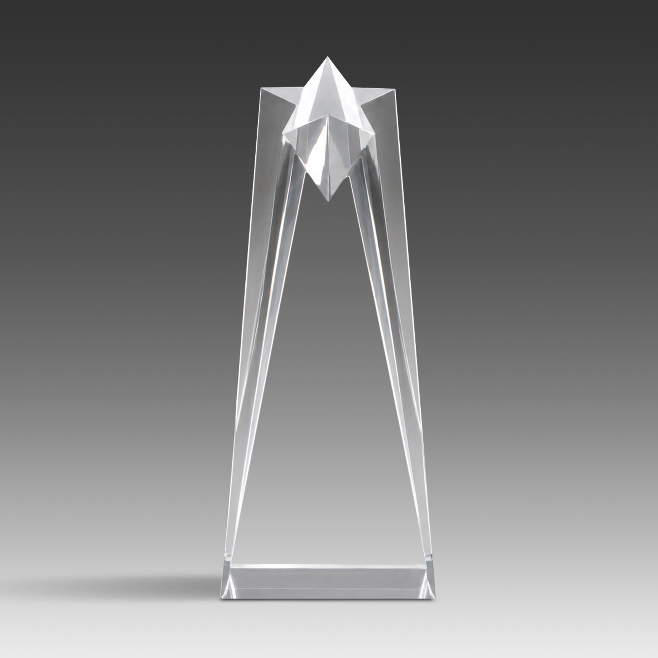 Star Tower™ Award
