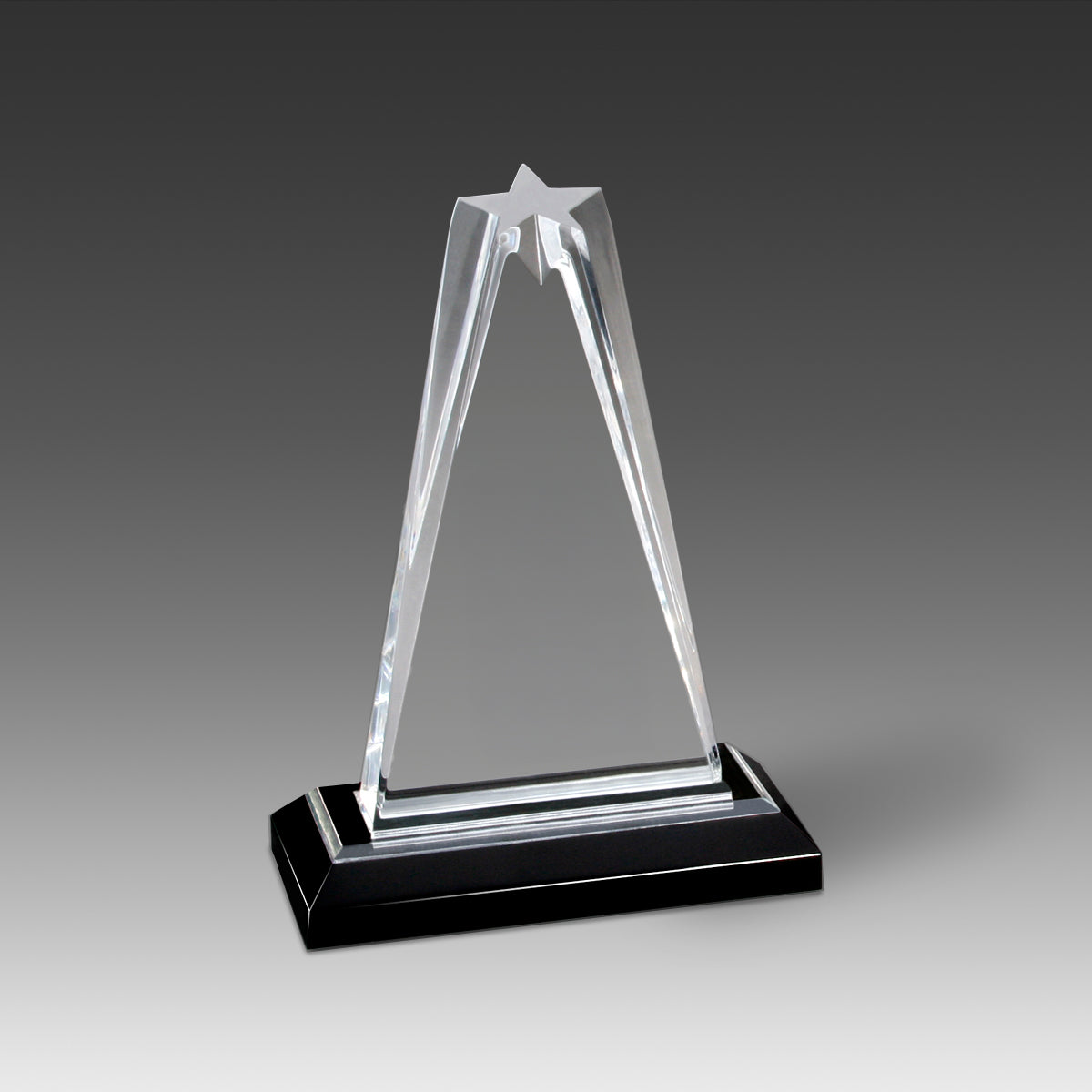 StarZenith™ Award