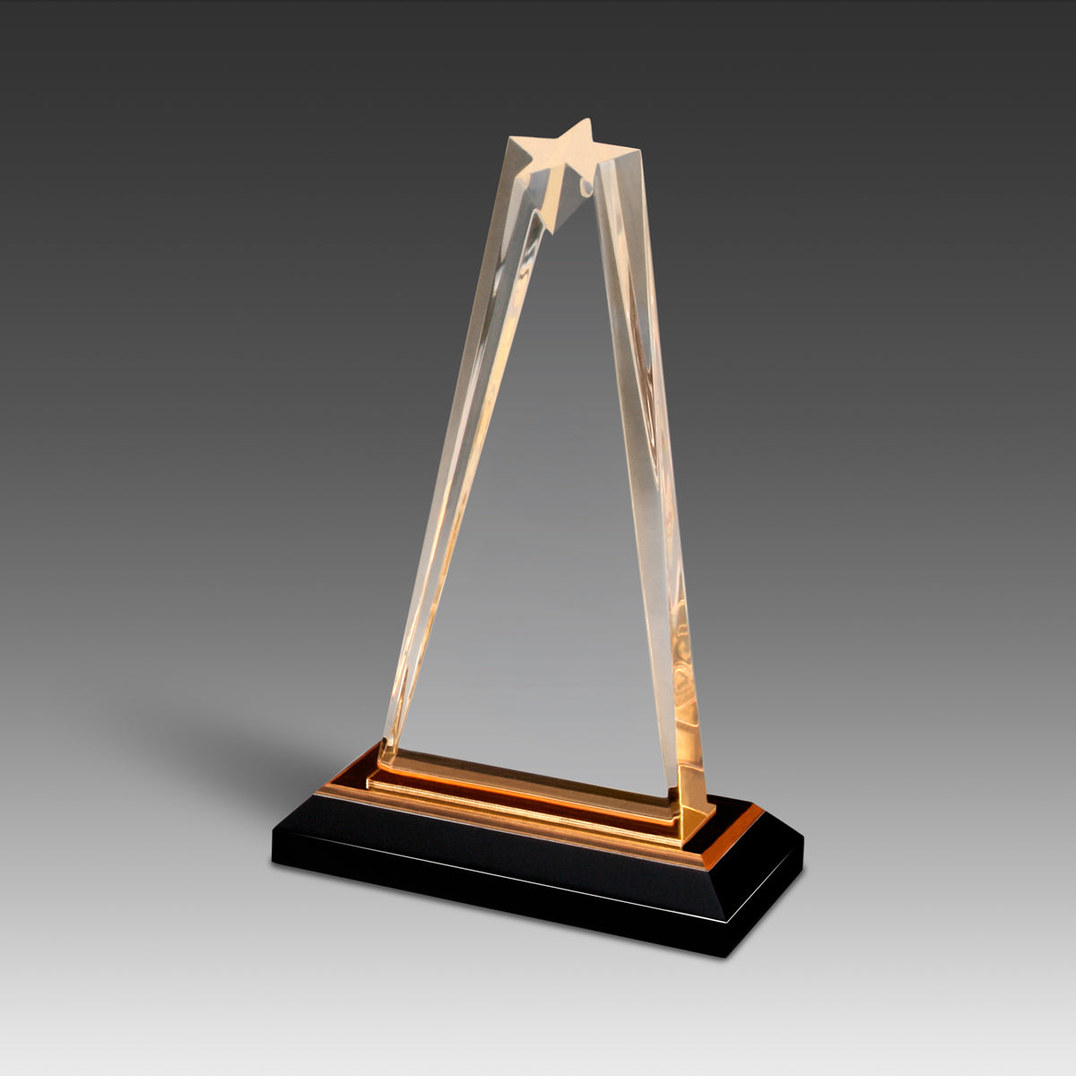 StarZenith™ Award