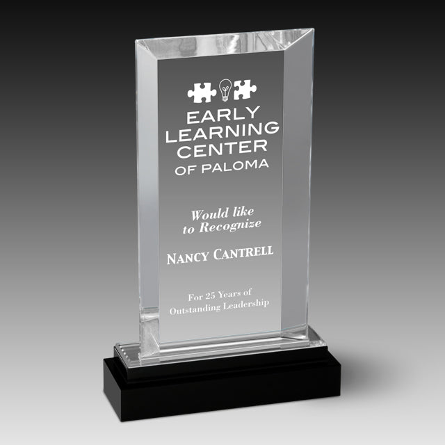 CrystalAcrylic Fusion Beveled Rectangle™ Award