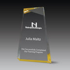 Wedge Facet™ Award